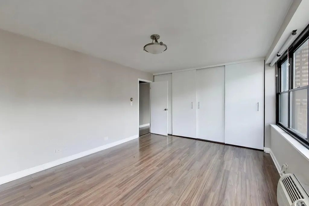 850 North Dewitt Place Chicago IL 60611