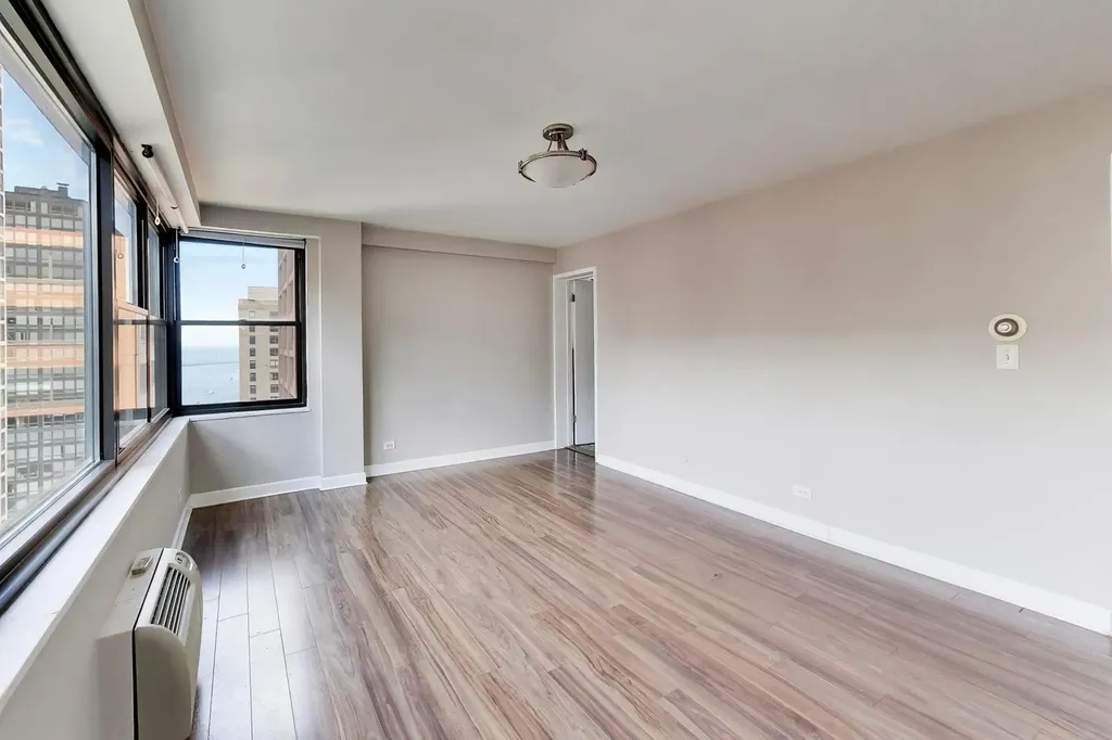 850 North Dewitt Place Chicago IL 60611