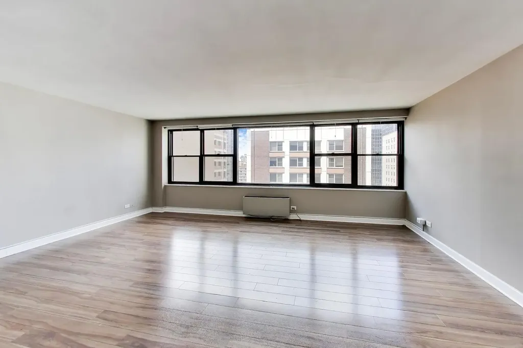 850 North Dewitt Place Chicago IL 60611
