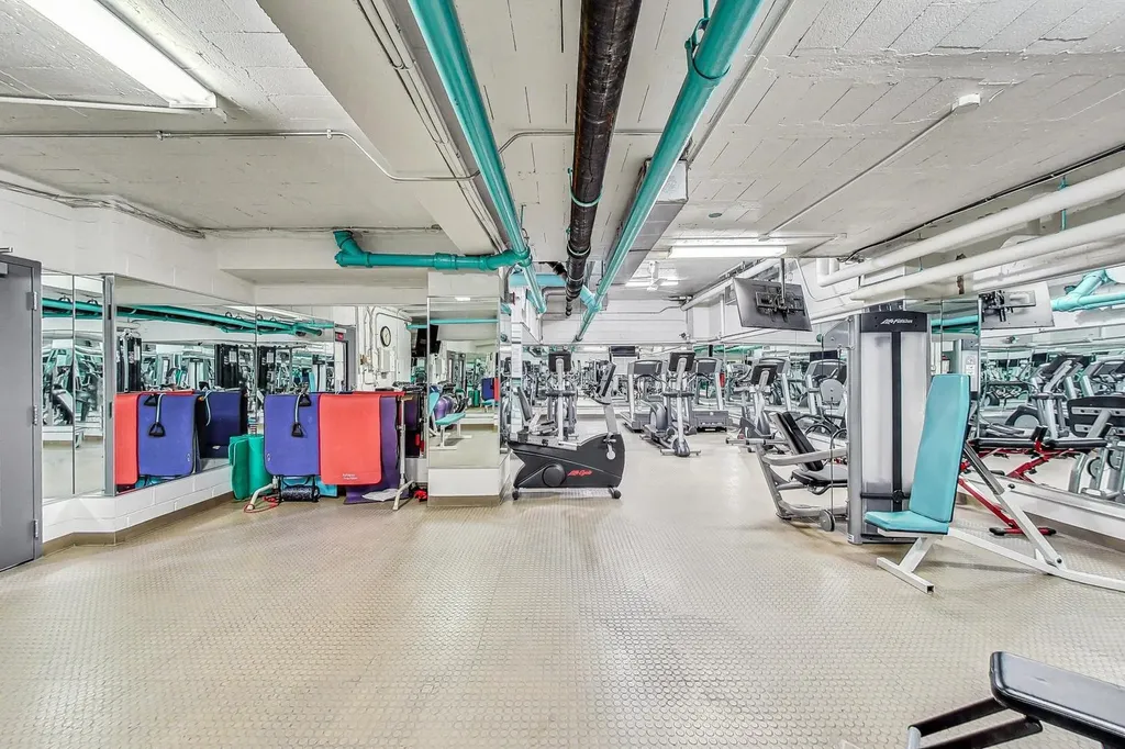 850 North Dewitt Place Chicago IL 60611