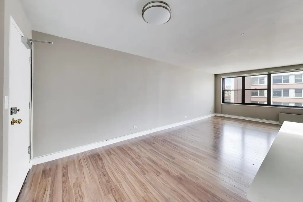 850 North Dewitt Place Chicago IL 60611