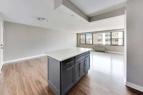 850 North Dewitt Place Chicago IL 60611