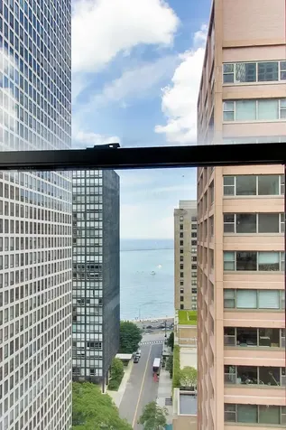 850 North Dewitt Place Chicago IL 60611