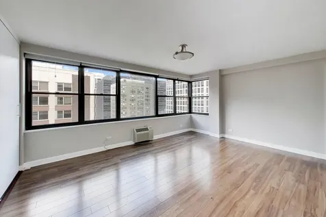 850 North Dewitt Place Chicago IL 60611