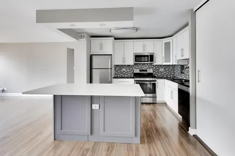 850 North Dewitt Place Chicago IL 60611