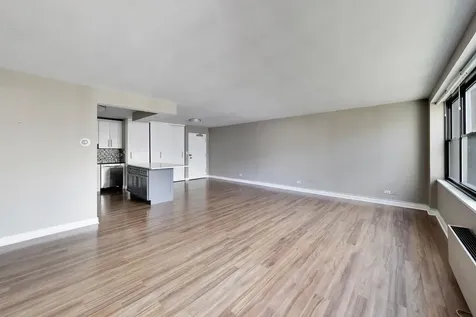 850 North Dewitt Place Chicago IL 60611