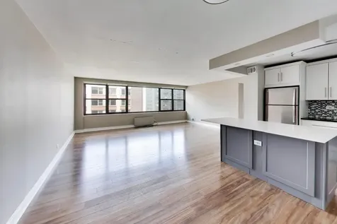 850 North Dewitt Place Chicago IL 60611
