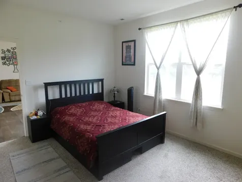 944 Darwin Street North Aurora IL 60542