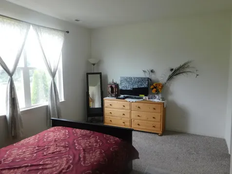 944 Darwin Street North Aurora IL 60542
