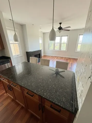 2243 North Lister Avenue Chicago IL 60614