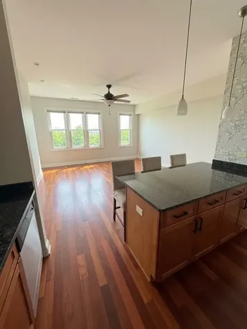 2243 North Lister Avenue Chicago IL 60614