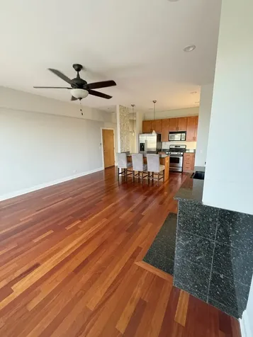 2243 North Lister Avenue Chicago IL 60614