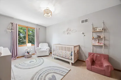 6602 Natasha Court Countryside IL 60525