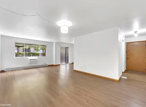 1156 Osterman Avenue Deerfield IL 60015