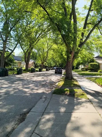 319 Park Drive Northbrook IL 60062