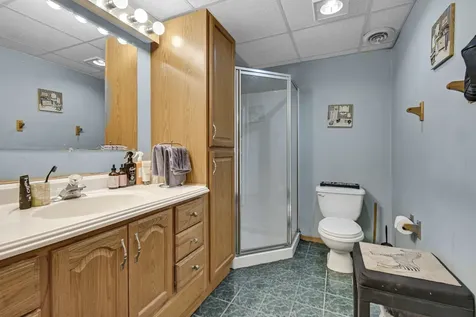 5239 Laramie Court Oak Forest IL 60452