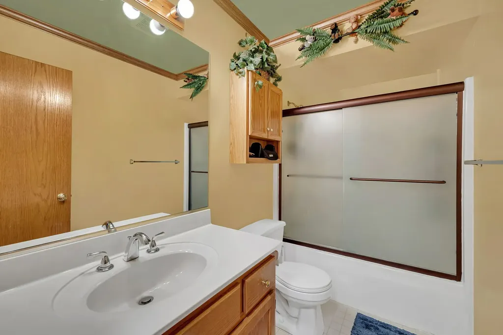 24221 Brown Lane Plainfield IL 60586