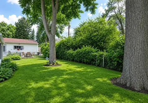 10037 Harnew Road E Oak Lawn IL 60453