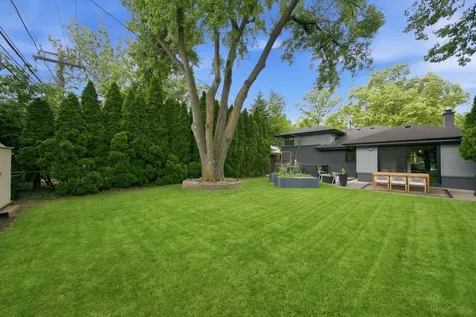1505 Hoffman Avenue Park Ridge IL 60068