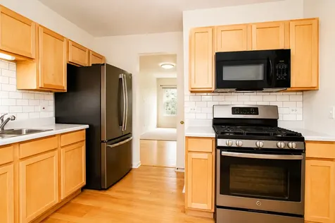 1217 North Village Drive Round Lake Beach IL 60073