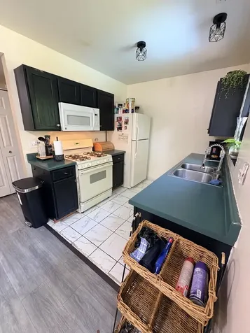 1422 West Split Oak Circle Round Lake Beach IL 60073
