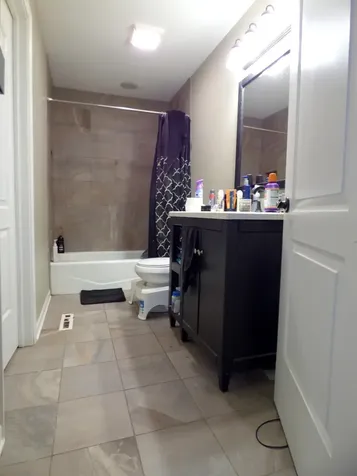 528 West Pheasant Court Round Lake Beach IL 60073