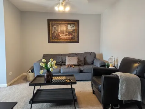 102 Steeple Drive Buffalo Grove IL 60089