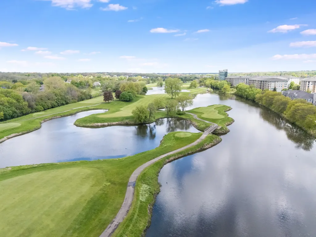 17 Mashie Court Woodridge IL 60517