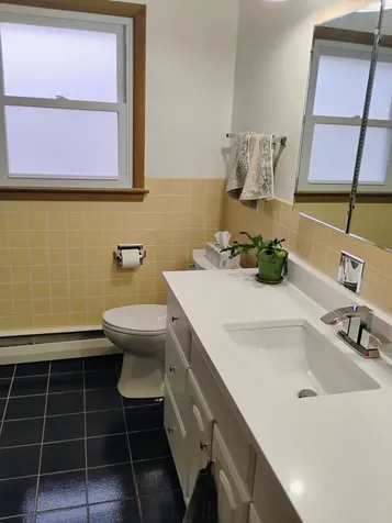 904 South Edward Street Mount Prospect IL 60056