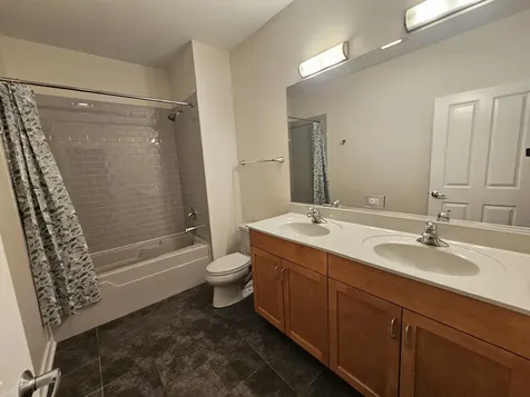 1244 South Blue Island Avenue Chicago IL 60608