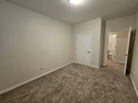 1244 South Blue Island Avenue Chicago IL 60608