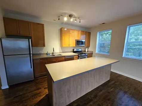 1244 South Blue Island Avenue Chicago IL 60608