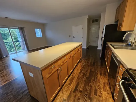 1244 South Blue Island Avenue Chicago IL 60608