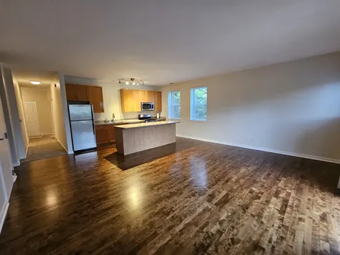 1244 South Blue Island Avenue Chicago IL 60608