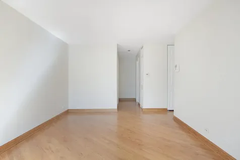 1169 South Plymouth Court Chicago IL 60605
