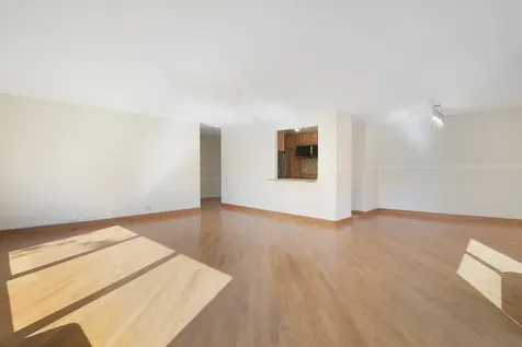 1169 South Plymouth Court Chicago IL 60605