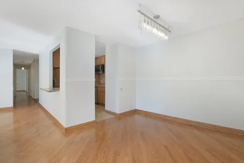 1169 South Plymouth Court Chicago IL 60605