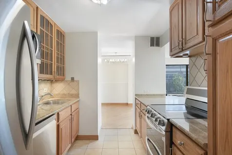 1169 South Plymouth Court Chicago IL 60605