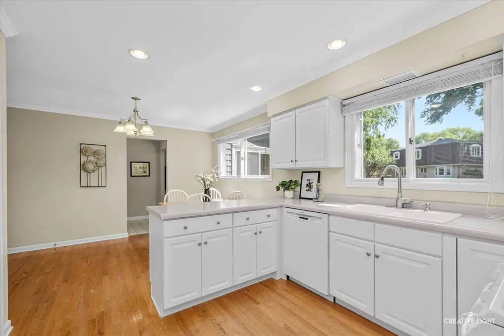 1736 Clyde Drive Naperville IL 60565