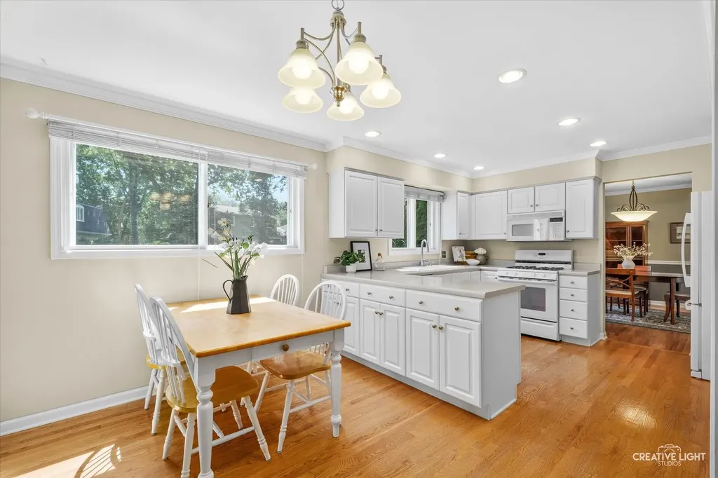 1736 Clyde Drive Naperville IL 60565