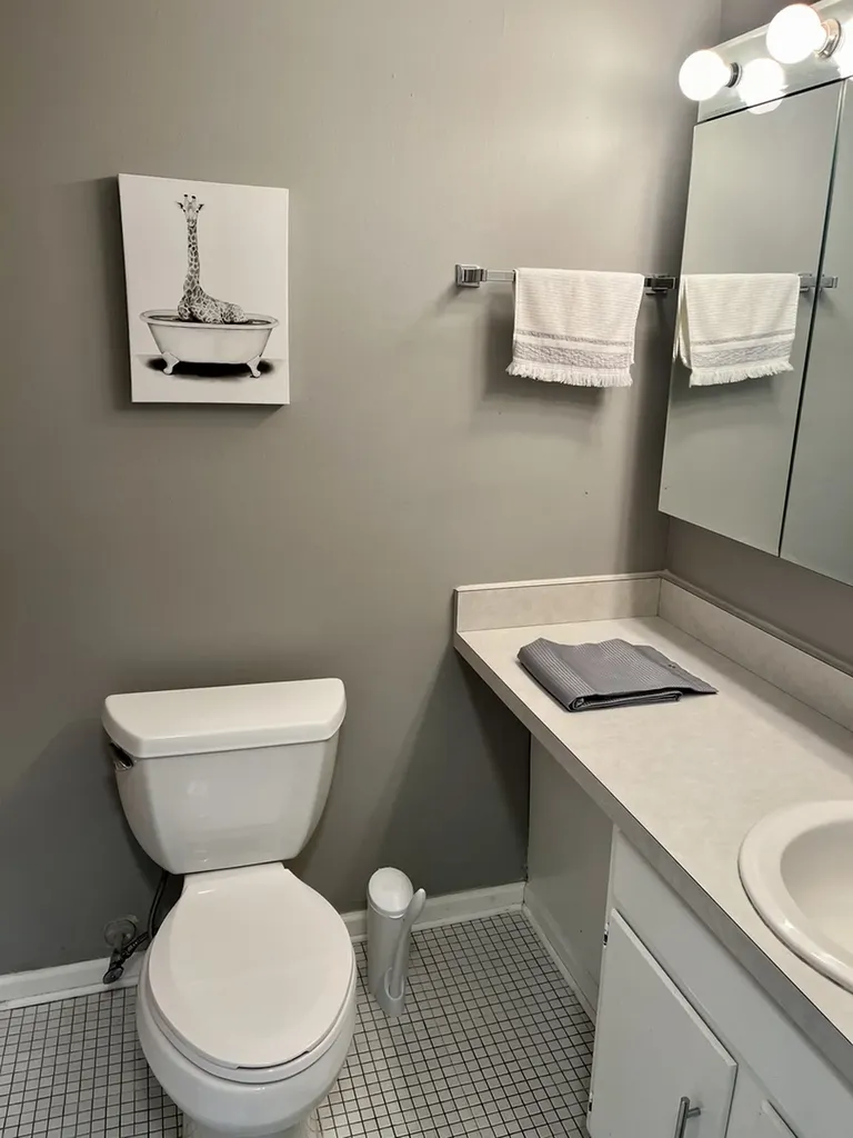 2740 North Pine Grove Avenue Chicago IL 60614