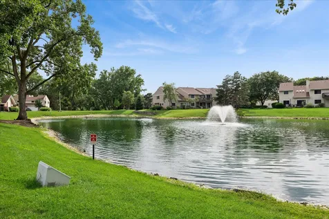172 Morningside Lane Buffalo Grove IL 60089