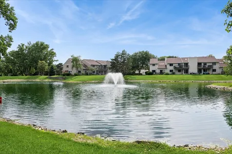 172 Morningside Lane Buffalo Grove IL 60089