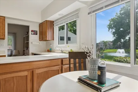 172 Morningside Lane Buffalo Grove IL 60089
