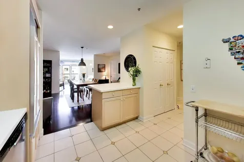 1107 Greenleaf Avenue Wilmette IL 60091