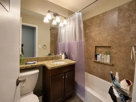 1455 North Sandburg Terrace Chicago IL 60610