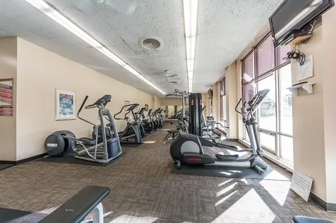 1455 North Sandburg Terrace Chicago IL 60610
