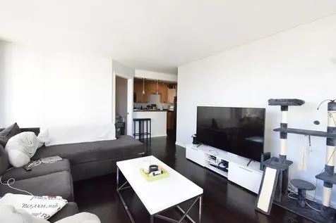 1455 North Sandburg Terrace Chicago IL 60610
