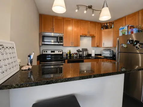 1455 North Sandburg Terrace Chicago IL 60610
