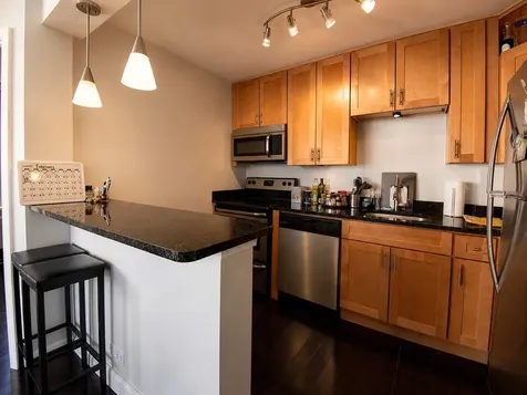 1455 North Sandburg Terrace Chicago IL 60610